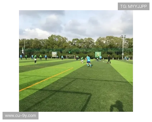 竞技足球草皮建设与养护技术的创新发展与实践探索