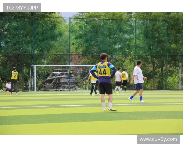 足球赛场上的心跳与反思：一场比赛背后的情感与启示